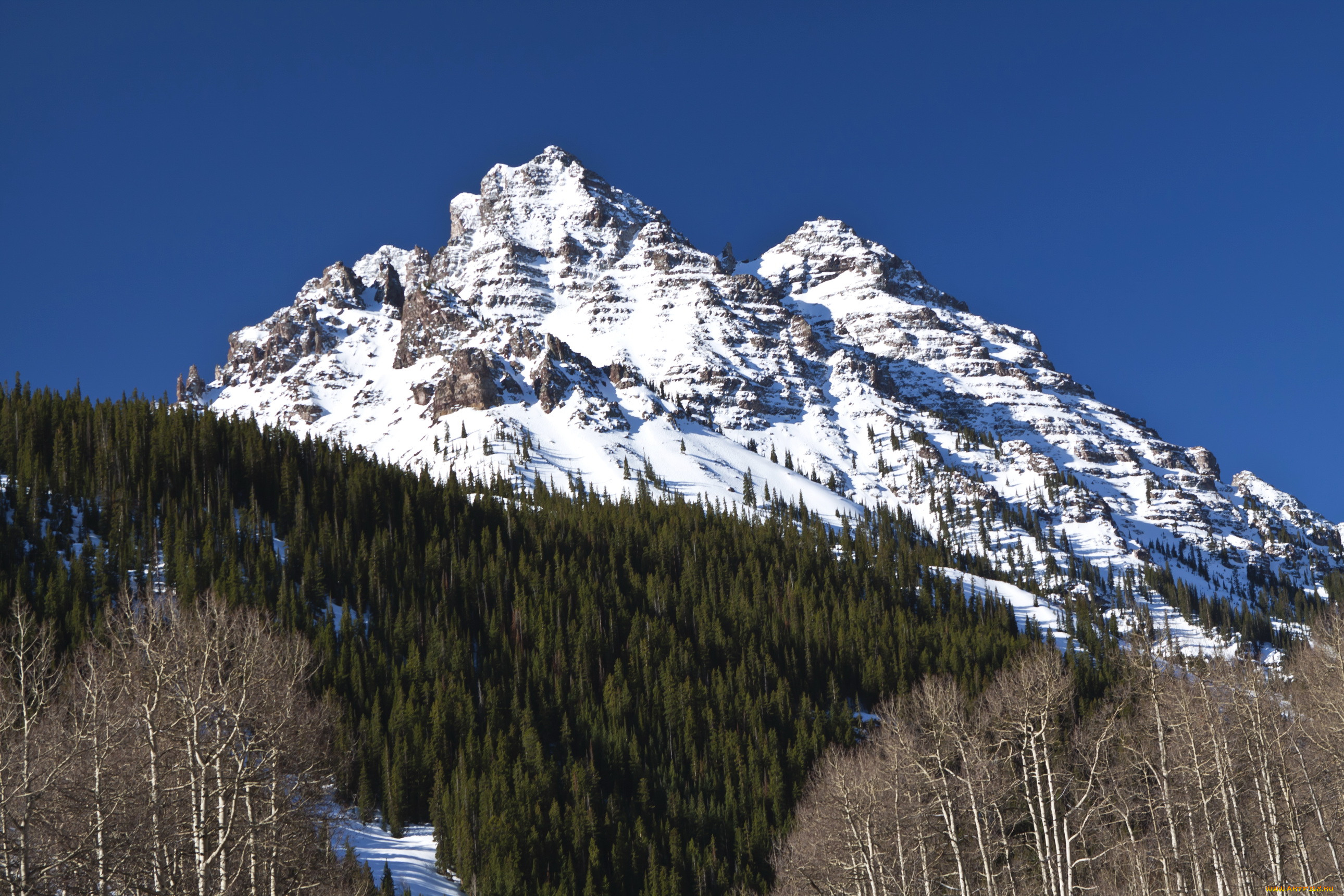 , , colorado, white, river, national, forest, aspen